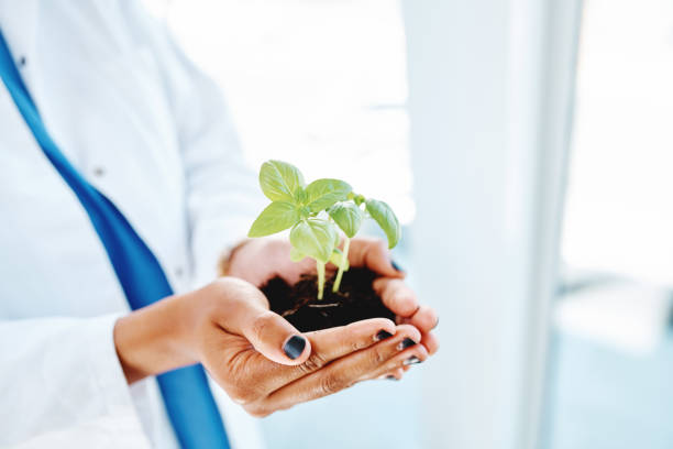 Environmental Friendly ealthcare e-waste recycling services - Legacy Recycling